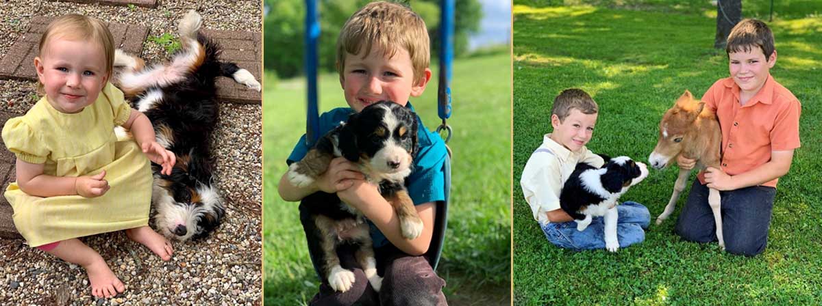 mini bernedoodle with children