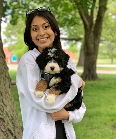 girl with Mini Bernedoodles