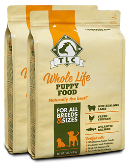 Puppy Food