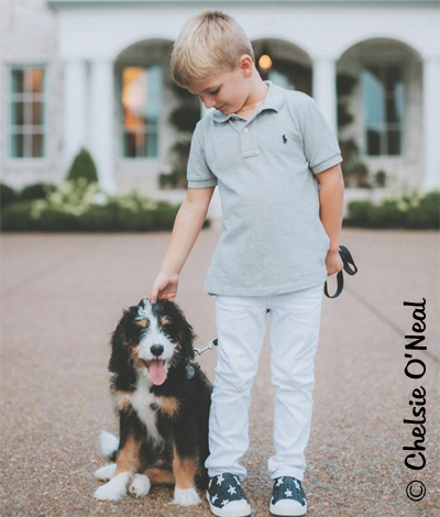 Puppy and boy