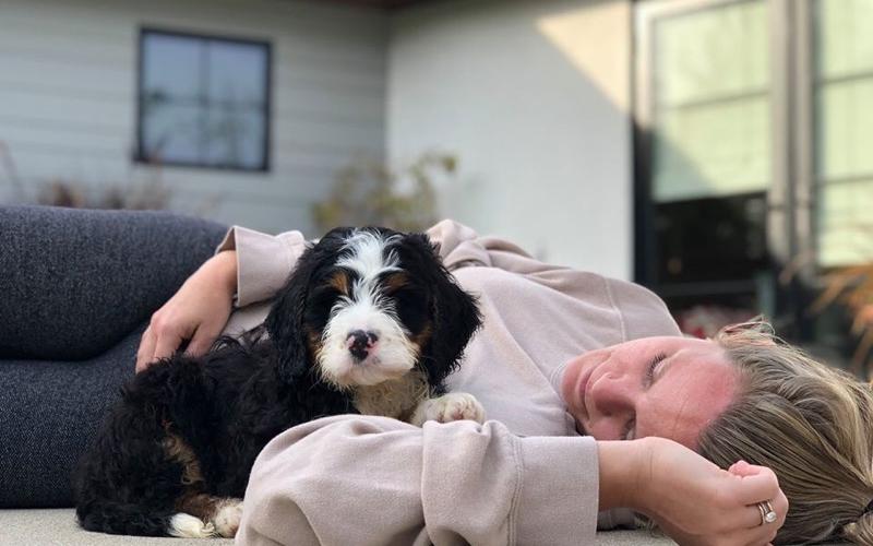 Reynard is from Roxanne & Sammy born on 2/06/19 Reynard