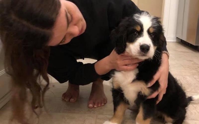 Russel is from Rosie & Sammy born on 9/03/19 Russel