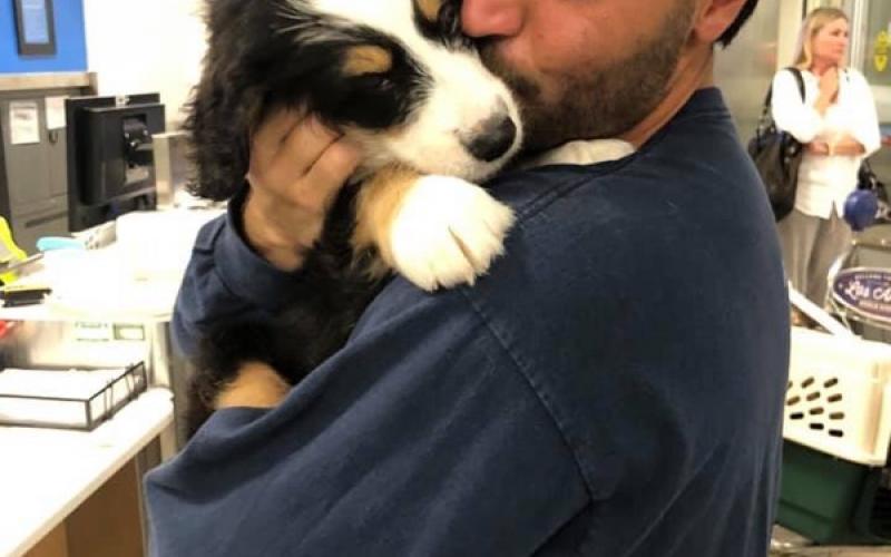 Russel is from Rosie & Sammy born on 9/03/19 Russel