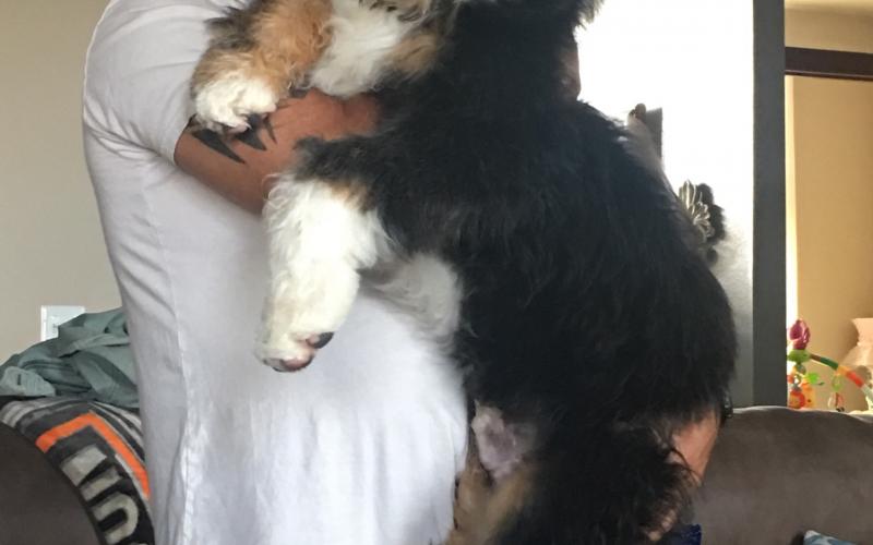 Silas is from Sadie & Keno born on 3/31/19 Silas