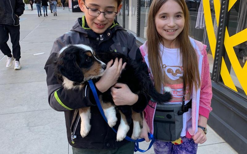 Syler is from Sammy & Sugar born on 1/19/19 Syler