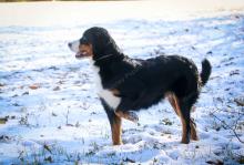Mindy