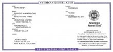 Mindy's Registration Certificate