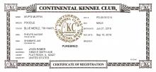 CKC Registration