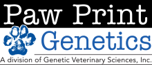 Paw Print Genetics Tested