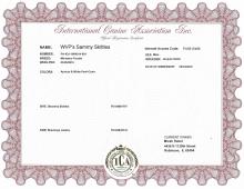 Official Registration Certificate 