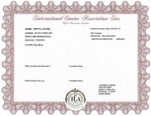 ICA Registration