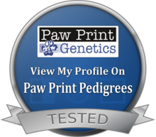 View on Paw Print Pedigrees