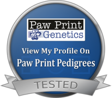 Tested with Paw Print Genetics 