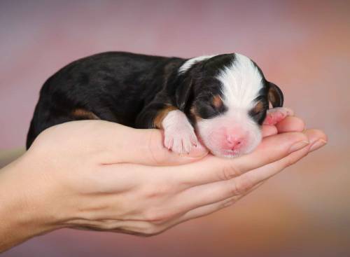 Kate at 3 days old