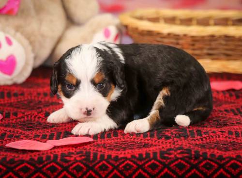 Kate at 3 weeks old