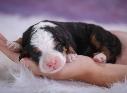 Spencer at 3 days old