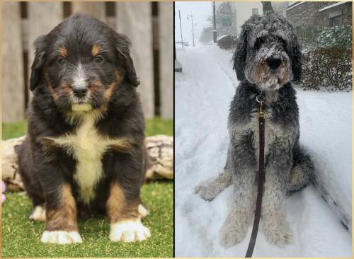Corbin at 5 weeks old and at 23 months old
