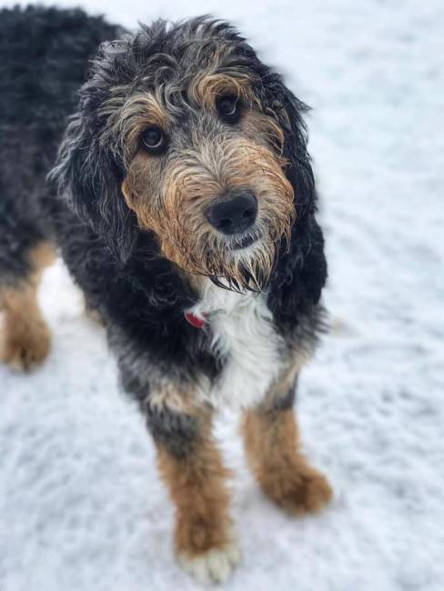 Grant at 10 months old