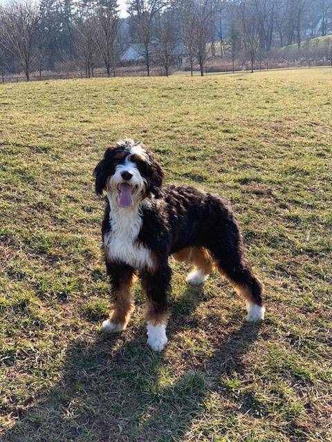 Sherlyn at 12 months old