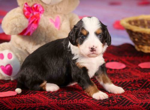 Kaya at 3 weeks old