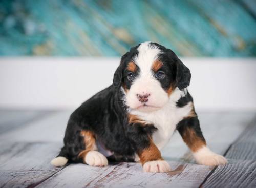 Sherlyn at 3 weeks old