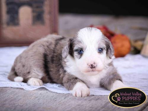 Emily at 3 weeks old