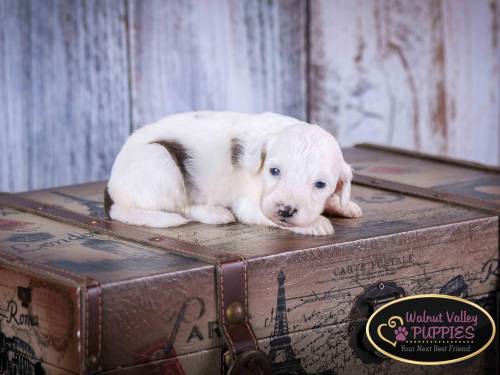 Erica at 3 weeks old