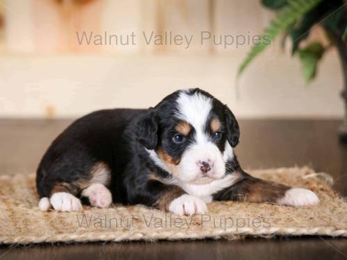 Jeffery at 3 weeks old