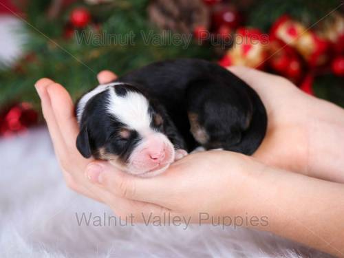 Jeffery at 3 weeks old