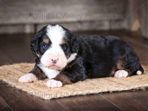 Heather at 3 weeks old