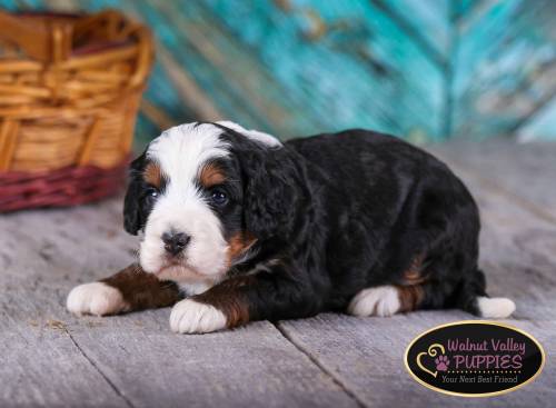 Alex at 3 weeks old