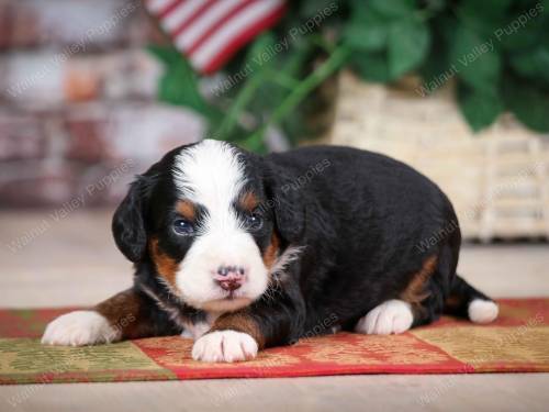 Jamie at 3 weeks old